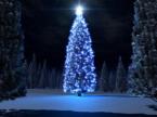 Christmas Wallpaper-0471